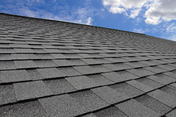 Professional Roofing Service in Caon City, CO