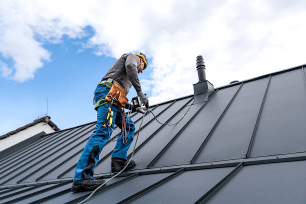 Best Roof Ventilation Installation  in Caon City, CO